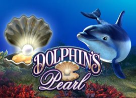 Dolphins-pearl-logo