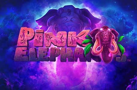 Pink Elephants – darmowy automat do gry