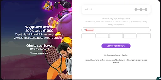 Punterz Kasyno rejestracja krok 3