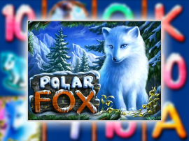 polar fox slot online